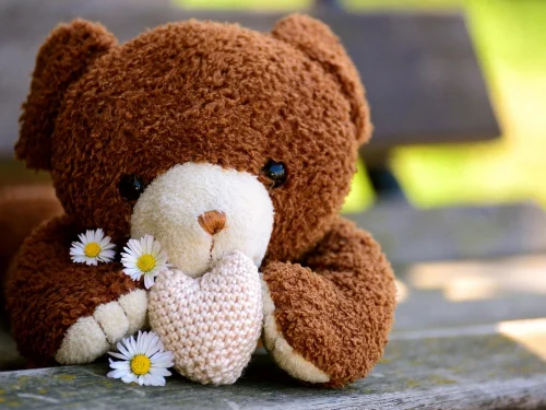 7. Ev Neyi Temsil Eder? Konuları Hesaplama Ücretsiz Yıldız Analizi