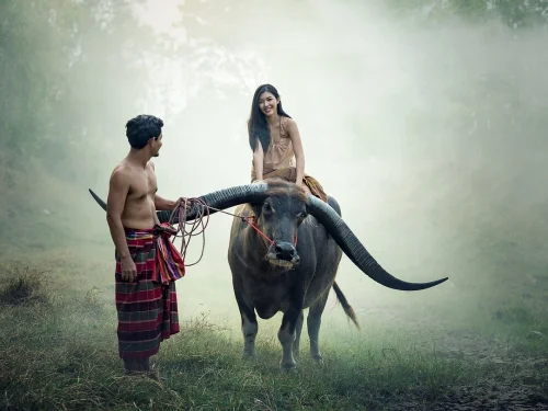 Yükseleni Kova Olan Kova Burcu Erkeği İlk Bakışta Burcunuz