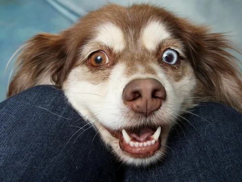 Yükseleni Oğlak Olan Terazi Burcu Erkeği Ruhsal Yolculuğunuz