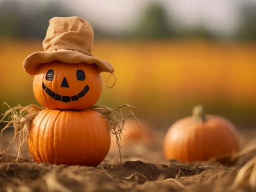 Yükseleni Yay Olan Kova Burcu Erkeği Kader Anınızın Burcu